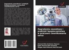 Bookcover of Zagrożenia zawodowe i praktyki bezpieczeństwa w pracowni cewnikowania serca