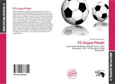 FC Argeş Piteşti kitap kapağı