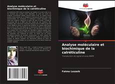Buchcover von Analyse moléculaire et biochimique de la calréticuline