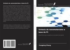 Copertina di Síntesis de nanomateriales a base de Pt