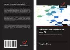 Portada del libro de Synteza nanomateriałów na bazie Pt