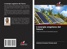 L'energia angolana del futuro kitap kapağı