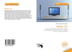 Buchcover von WXEL-TV