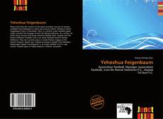 Bookcover of Yehoshua Feigenbaum