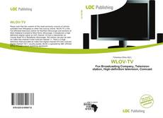 Bookcover of WLOV-TV