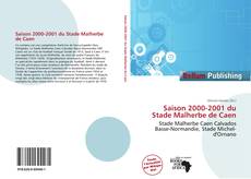 Saison 2000-2001 du Stade Malherbe de Caen的封面