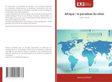 Couverture de Afrique : le paradoxe du silice