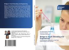 Bridge to Youth Decoding and Engineering的封面