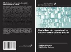 Copertina di Modelización organizativa sobre sostenibilidad social