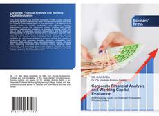 Corporate Financial Analysis and Working Capital Evaluation的封面