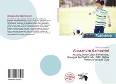 Alessandro Gamberini的封面
