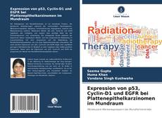 Borítókép a  Expression von p53, Cyclin-D1 und EGFR bei Plattenepithelkarzinomen im Mundraum - hoz