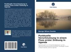 Couverture de Punktuelle Verschmutzung in einem Fluss erster Ordnung in Uganda