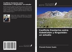 Bookcover of Conflicto fronterizo entre Uzbekistán y Kirguistán: un estudio