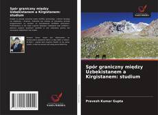 Spór graniczny między Uzbekistanem a Kirgistanem: studium kitap kapağı