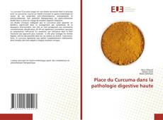 Couverture de Place du Curcuma dans la pathologie digestive haute