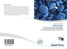 Bookcover of Wassonite