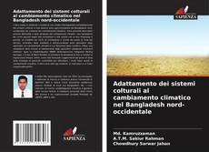 Copertina di Adattamento dei sistemi colturali al cambiamento climatico nel Bangladesh nord-occidentale