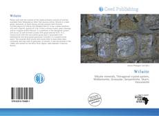 Bookcover of Wiluite