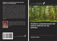 Bookcover of Análisis computacional del estrés hídrico en las plantas