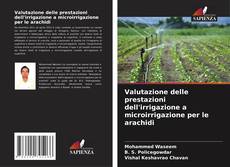 Buchcover von Valutazione delle prestazioni dell'irrigazione a microirrigazione per le arachidi