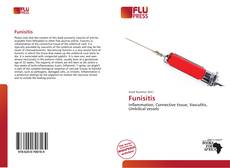 Buchcover von Funisitis