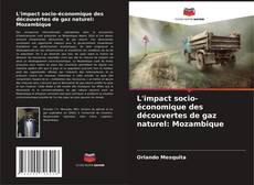 Обложка L'impact socio-économique des découvertes de gaz naturel: Mozambique