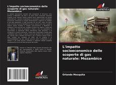 L'impatto socioeconomico delle scoperte di gas naturale: Mozambico的封面