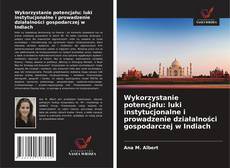 Copertina di Wykorzystanie potencjału: luki instytucjonalne i prowadzenie działalności gospodarczej w Indiach