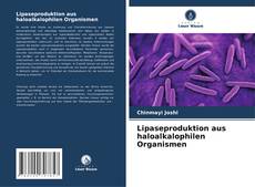 Couverture de Lipaseproduktion aus haloalkalophilen Organismen