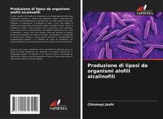 Produzione di lipasi da organismi alofili alcalinofili的封面