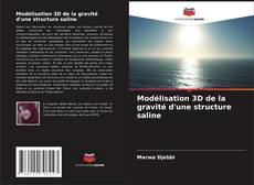 Modélisation 3D de la gravité d'une structure saline的封面