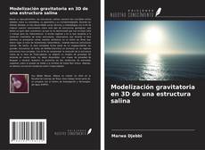 Buchcover von Modelización gravitatoria en 3D de una estructura salina