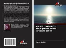 Modellizzazione 3D della gravità di una struttura salina kitap kapağı
