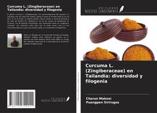 Buchcover von Curcuma L. (Zingiberaceae) en Tailandia: diversidad y filogenia
