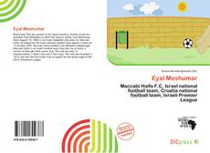 Portada del libro de Eyal Meshumar