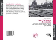 Gare De Salles-Courbatiès kitap kapağı