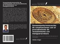 Saneamiento/renovación de canalizaciones con el procedimiento de revestimiento con manguera/rotura kitap kapağı