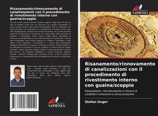 Bookcover of Risanamento/rinnovamento di canalizzazioni con il procedimento di rivestimento interno con guaina/scoppio