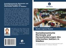 Portada del libro de Sozioökonomische Merkmale und Herausforderungen des informellen Sektors in Städten
