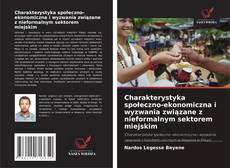 Couverture de Charakterystyka społeczno-ekonomiczna i wyzwania związane z nieformalnym sektorem miejskim