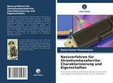 Buchcover von Nassverfahren für Strontiumhexaferrite: Charakterisierung und Eigenschaften