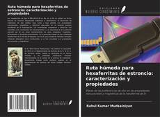 Borítókép a  Ruta húmeda para hexaferritas de estroncio: caracterización y propiedades - hoz