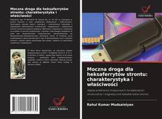 Обложка Moczna droga dla heksaferrytów strontu: charakterystyka i właściwości
