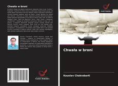 Обложка Chwała w broni