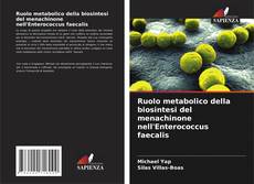 Copertina di Ruolo metabolico della biosintesi del menachinone nell'Enterococcus faecalis