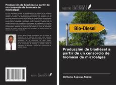 Borítókép a  Producción de biodiésel a partir de un consorcio de biomasa de microalgas - hoz