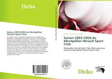 Saison 2003-2004 du Montpellier Hérault Sport Club的封面