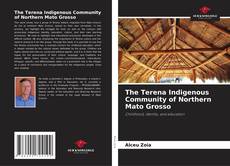 The Terena Indigenous Community of Northern Mato Grosso kitap kapağı