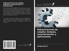 Обложка Hidroxicloruros de cobalto: Síntesis, caracterización y aplicaciones